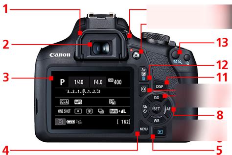 Straighten mow Medicine dslr camera anatomy wallpaper Overview Frustration