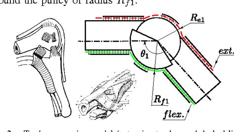 Figure 2 from Arm-hand movement: Imitation of human natural gestures with tenodesis effect ...