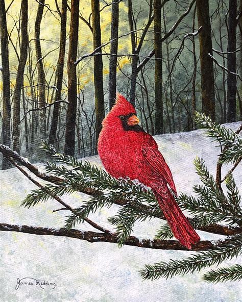 Cardinal Painting Winter Sunset Snow Painting Bird Print Winter Cardinal Fine Art Print Nature ...