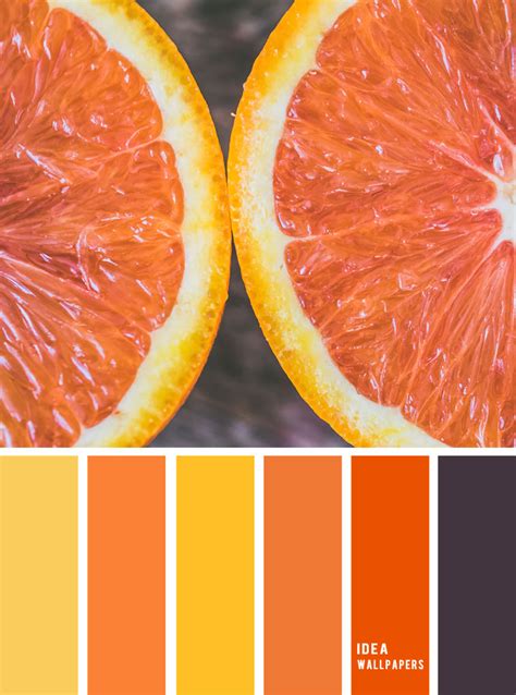 Orange color scheme { orange yellow dark grey purple color palette }