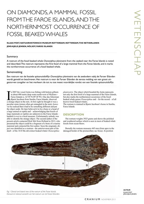 (PDF) On diamonds, a mammal fossil from the Faroe Islands, and the northernmost occurence of ...