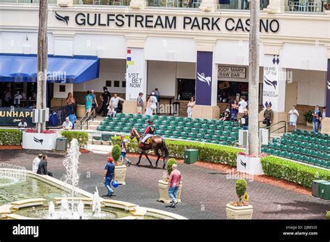 Gulfstream park horse horses racing track hi-res stock photography and ...