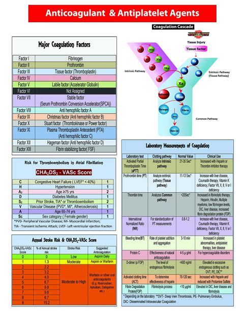 Anticoagulants Pocket Card: Harilal Nair: 9781941004012: Amazon.com ...