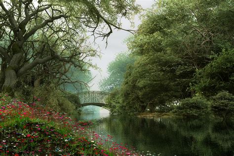 Woodland Waterway by DIGITAL-DOM on DeviantArt