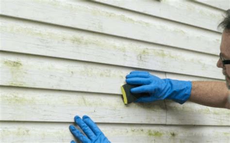 25 Homemade Vinyl Siding Cleaner Ideas