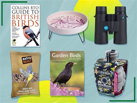 RSPB’s Big Garden Birdwatch 2023: How to take part | The Independent