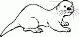 水獭-海狮-黄鼠狼[54P]_动物简笔画(涂色图片)_宝宝吧