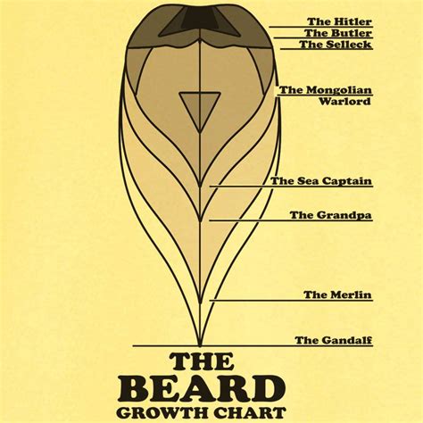 Facial Hair Growth Chart