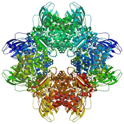 Ribulose 1,5-bisphosphate carboxylase (rubisco) - Chemistry LibreTexts