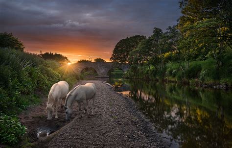 Fine Art Landscape Photography Northern Ireland | Tony Moore