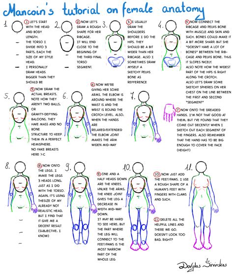 Tutorial on female anatomy For Beginners by Mancoin | Female anatomy, Drawing lessons for kids ...