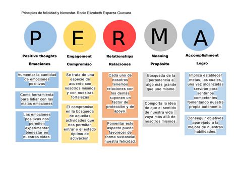 Modelo Perma - Principios de bienestar y felicidad - Principios de felicidad y bienestar. Rocio ...