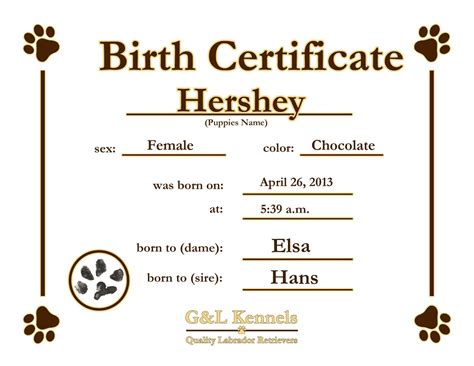 Free Fillable Puppy Birth Certificate Template