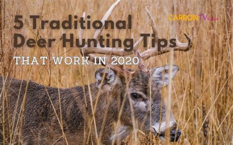 5 Traditional Deer Hunting Tips | CarbonTV Blog