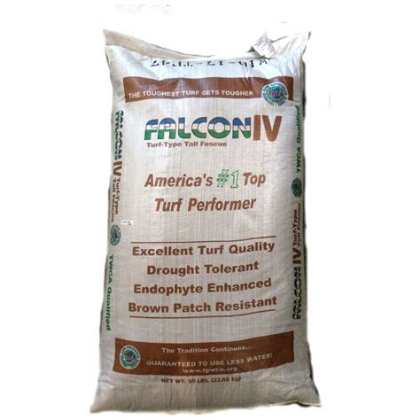 Falcon IV Turf Type Tall Fescue Grass Seed - 50 lbs. | Seed World