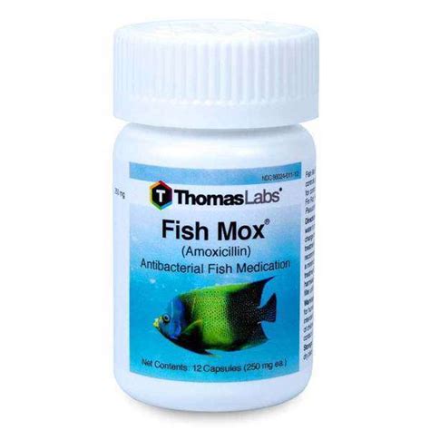 FISH MOX 250 mg Amoxicillin - FREE SHIPPING on Every Order of Fish Mox ...