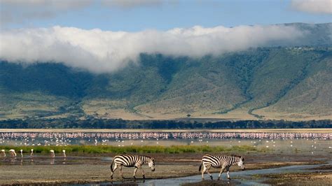 10 Interesting Facts About The Ngorongoro Crater