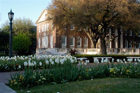 SMU honored for campus beauty - SMU