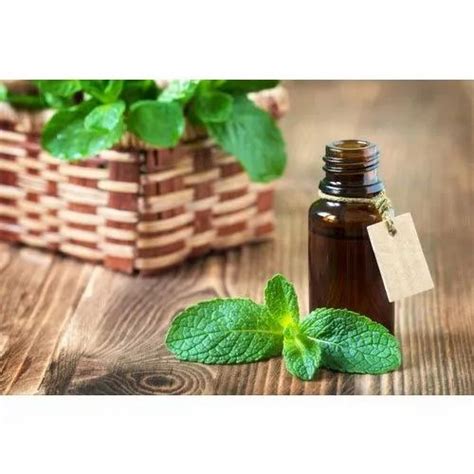 Mentha Arvensis Oil at Rs 950/kilogram | Corn Mint Oil in Budaun | ID ...