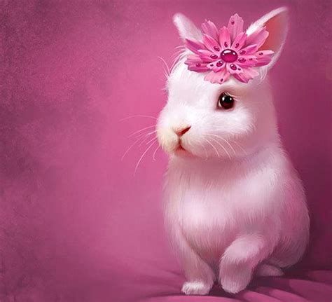 Cute Bunny, cute white baby rabbit HD wallpaper | Pxfuel