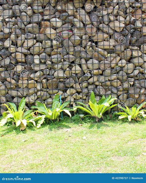 Gabion retaining wall stock image. Image of frame, construction - 42290737