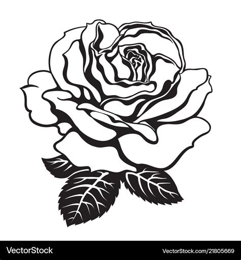 Rose Flower Images Black And White