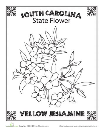 California state flower coloring page california poppy free printable – Artofit