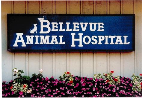 Bellevue Animal Hospital - 12 Photos & 36 Reviews - Veterinarians ...