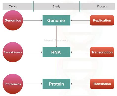 What Is Transcriptomics?