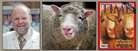 Top 159 + Animal cloning dolly sheep - Inoticia.net