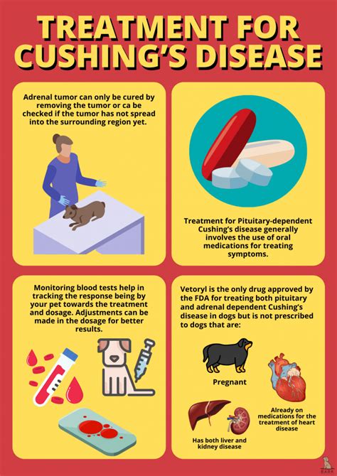 A Comprehensive Guide On Diagnosis And Treatment Of Cushing’s Disease In Dogs | Bark For More
