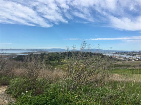 Park Profile: Mare Island Shoreline Heritage Preserve - Greenbelt Alliance