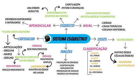 Mapa Mental Sobre Sistema Esquelético - REVOEDUCA