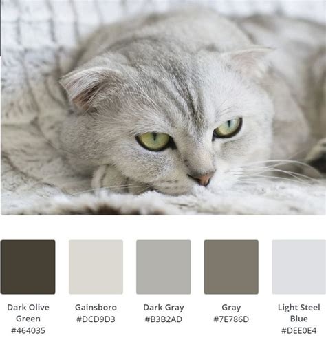 Cat Palette in 2020 | Cats, Palette, Animals