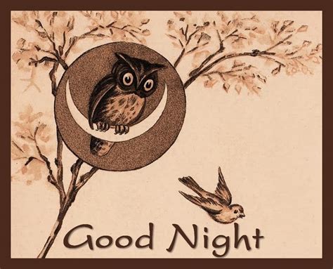 Good Night Card 001 Free Stock Photo - Public Domain Pictures