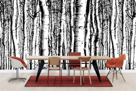 10 Excellent Sources for Buying Birch Tree Wallpaper | Apartment Therapy