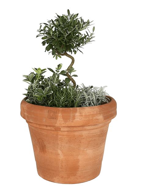 Claudius Large Terracotta Garden Pot – Gardenesque