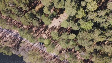 Overhead Shot of a Dense Forest near a Town · Free Stock Video