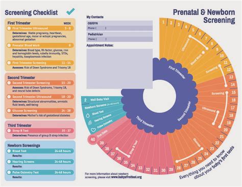 MCADD for Moms: Prenatal and Newborn Screening Timeline