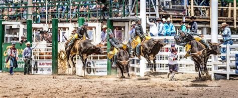 Police mount up for Warwick Rodeo - Mounted Police