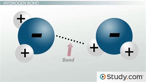 Hydrogen Bonding, Dipole-Dipole & Ion-Dipole Forces: Strong Intermolecular Forces - Video ...