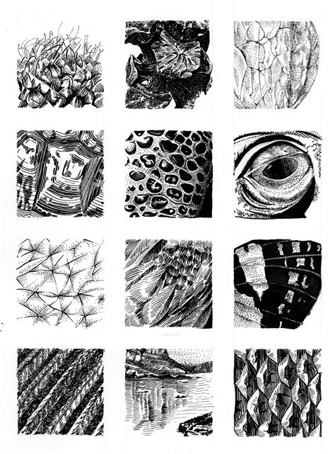 Natural Textures in Pen and Ink – Kelly Finan