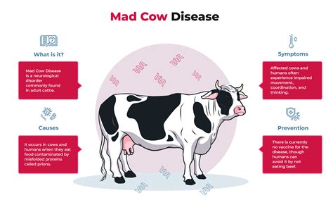 Mad Cow Disease - SRIRAM's IAS