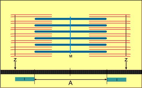 Stabbing muscles when flexed and when relaxed - Biology Stack Exchange