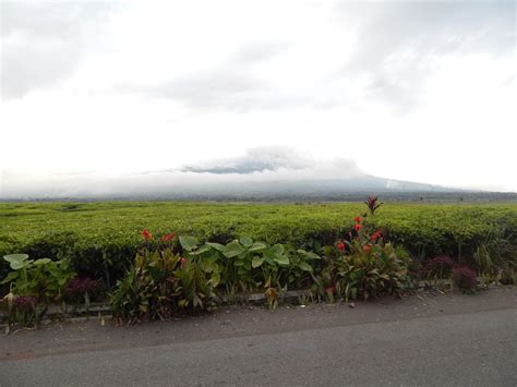 Day 32: Arriving in front of Gunung Kerinci - Splinter's Paradise