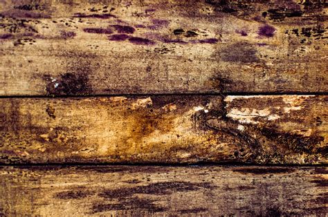 The Texture Archives | free textures for the taking: Rotten Wood Planks