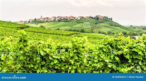 Small Village in Alsace stock photo. Image of travelling - 36296624