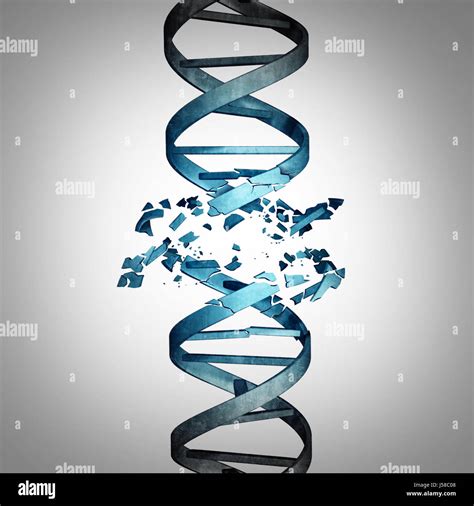 Dna Mutation