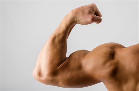 5 Règles Pour Une Prise De Muscle Efficace - Blog Eric Favre | Sport Nutrition Expert