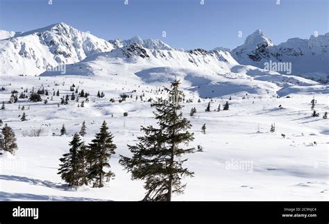 Tatry Mountains - a beautiful winter landscape in the Polish mountains Stock Photo - Alamy